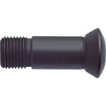Torx-Spannschrauben Torx-Spannschrauben