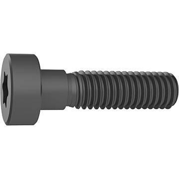 Torx-Plus Spannschrauben Torx-Plus Spannschrauben