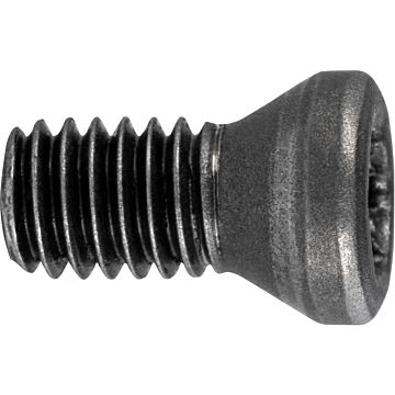Torx-Spannschrauben Torx-Spannschrauben