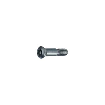 Torx-Spannschrauben Torx-Spannschrauben