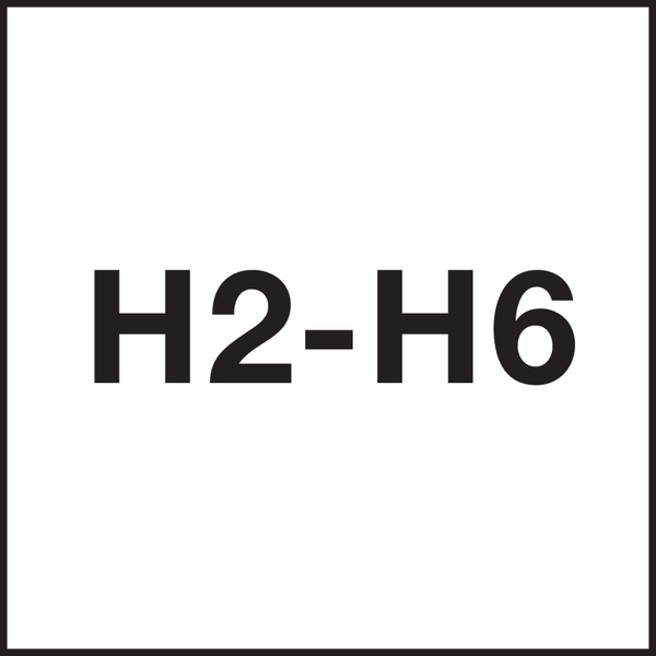 Classe di tolleranza filettatura: H2-H6